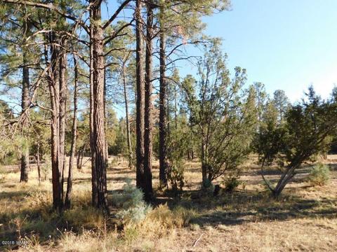 2103 Roundup Rd, Overgaard, AZ 85933 photo 1