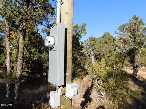 2103 Roundup Rd, Overgaard, AZ 85933 photo 15