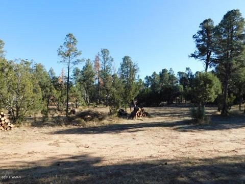 2103 Roundup Rd, Overgaard, AZ 85933 photo 10