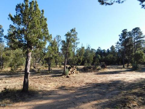 2103 Roundup Rd, Overgaard, AZ 85933 photo 7
