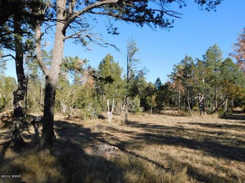 2103 Roundup Rd, Overgaard, AZ 85933 photo 11