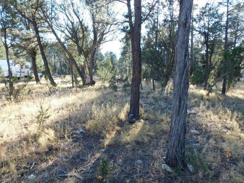2103 Roundup Rd, Overgaard, AZ 85933 photo 8