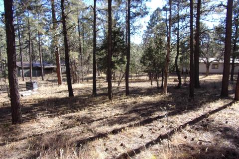 6301 Apache Trl, Show Low, AZ 85901 photo 32