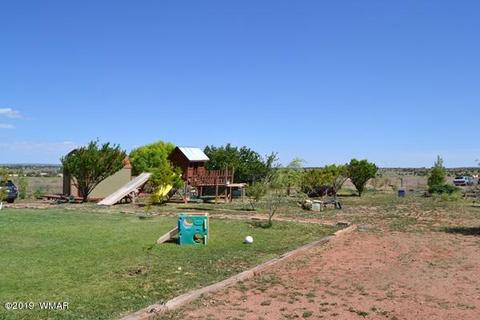 2620 Walnut Dr, Taylor, AZ 85939 photo 52