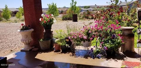2620 Walnut Dr, Taylor, AZ 85939 photo 29