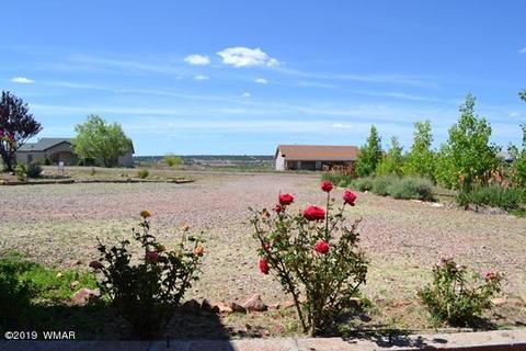 2620 Walnut Dr, Taylor, AZ 85939 photo 55