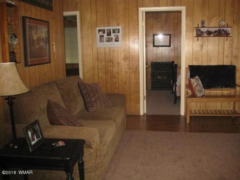 2162 Northwoods Dr, Overgaard, AZ 85933 photo 14
