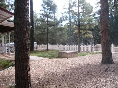 2162 Northwoods Dr, Overgaard, AZ 85933 photo 43