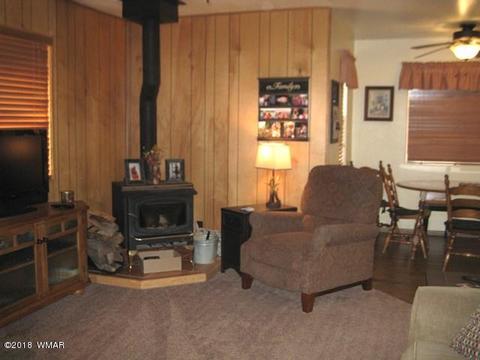 2162 Northwoods Dr, Overgaard, AZ 85933 photo 12