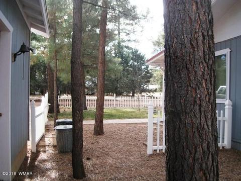 2162 Northwoods Dr, Overgaard, AZ 85933 photo 36