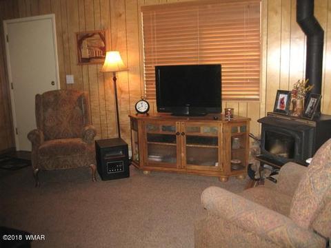 2162 Northwoods Dr, Overgaard, AZ 85933 photo 15
