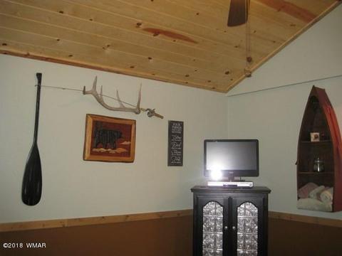2162 Northwoods Dr, Overgaard, AZ 85933 photo 35
