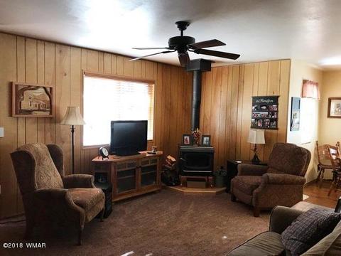 2162 Northwoods Dr, Overgaard, AZ 85933 photo 17