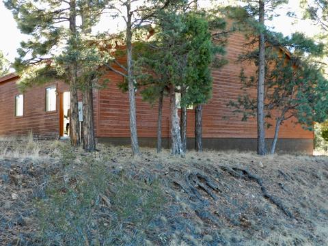 2289 Constellation Ln, Overgaard, AZ 85933 photo 3