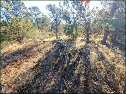 3355 Apache Dr, Overgaard, AZ 85933 photo 3