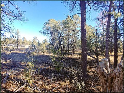 3355 Apache Dr, Overgaard, AZ 85933 photo 2