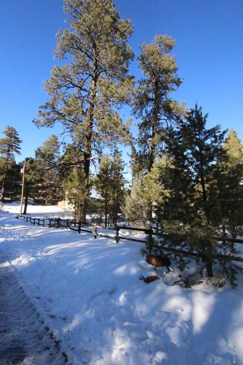 3353 Pine Cone Dr, Overgaard, AZ 85933 photo 3