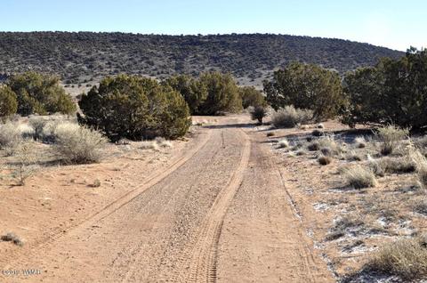 3948 Del Contento, Snowflake, AZ 85937 photo 31