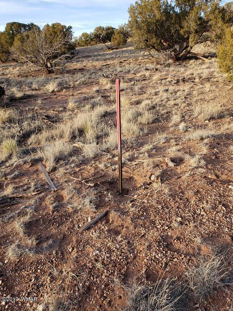 4423 Stirrup Rd, Snowflake, AZ 85937 photo 39