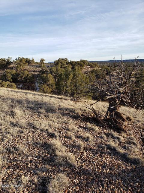 4423 Stirrup Rd, Snowflake, AZ 85937 photo 10