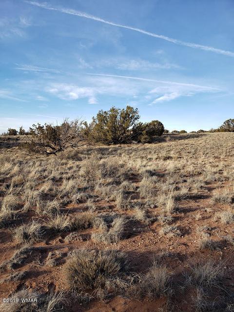 4423 Stirrup Rd, Snowflake, AZ 85937 photo 17