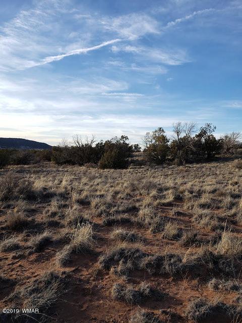 4423 Stirrup Rd, Snowflake, AZ 85937 photo 19