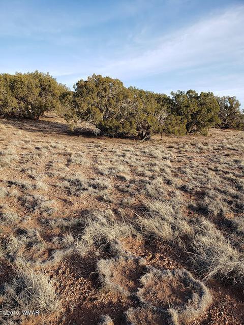 4423 Stirrup Rd, Snowflake, AZ 85937 photo 14