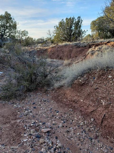 4423 Stirrup Rd, Snowflake, AZ 85937 photo 22
