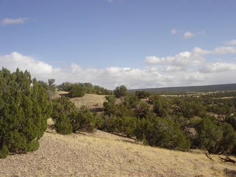 4423 Stirrup Rd, Snowflake, AZ 85937 photo 34