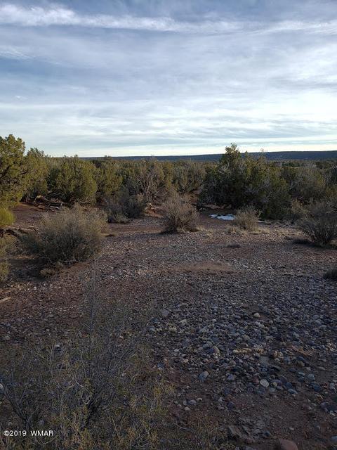 4423 Stirrup Rd, Snowflake, AZ 85937 photo 31