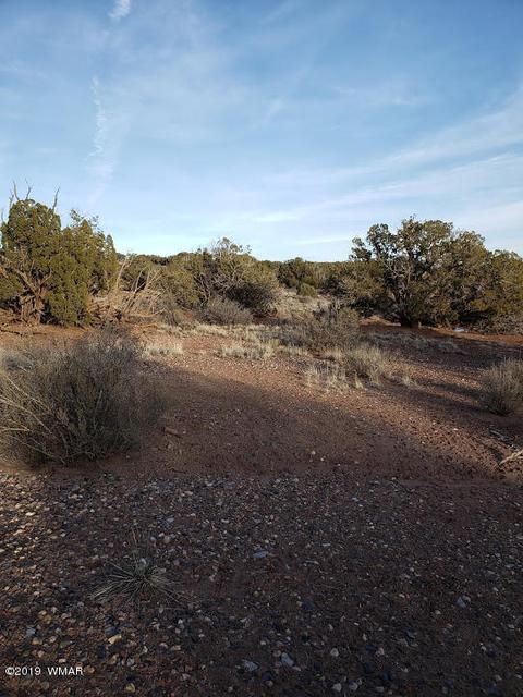4423 Stirrup Rd, Snowflake, AZ 85937 photo 33