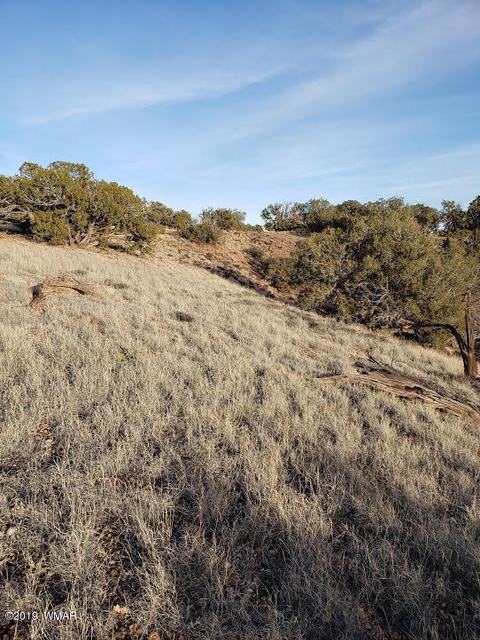 4423 Stirrup Rd, Snowflake, AZ 85937 photo 8