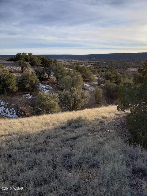4423 Stirrup Rd, Snowflake, AZ 85937 photo 6