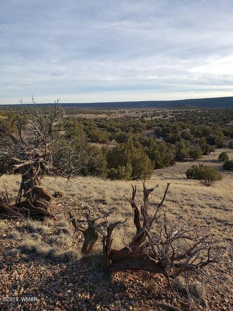 4423 Stirrup Rd, Snowflake, AZ 85937 photo 12