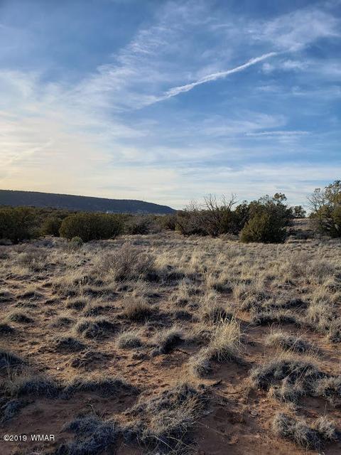4423 Stirrup Rd, Snowflake, AZ 85937 photo 20