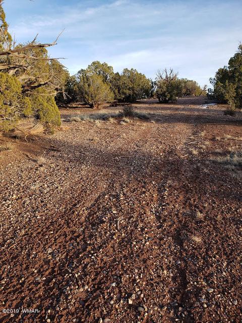 4423 Stirrup Rd, Snowflake, AZ 85937 photo 23