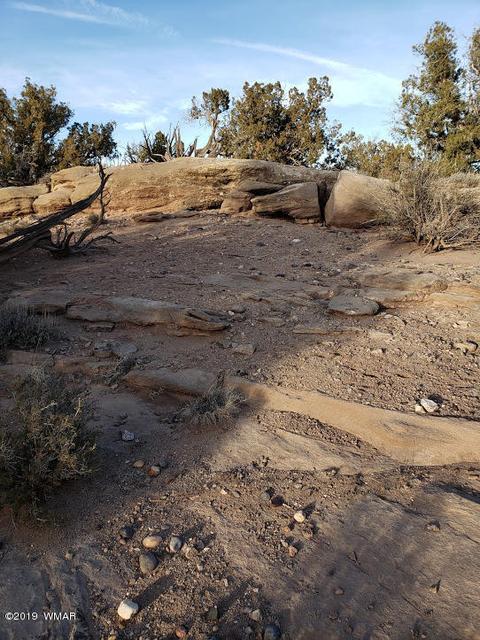 4423 Stirrup Rd, Snowflake, AZ 85937 photo 30