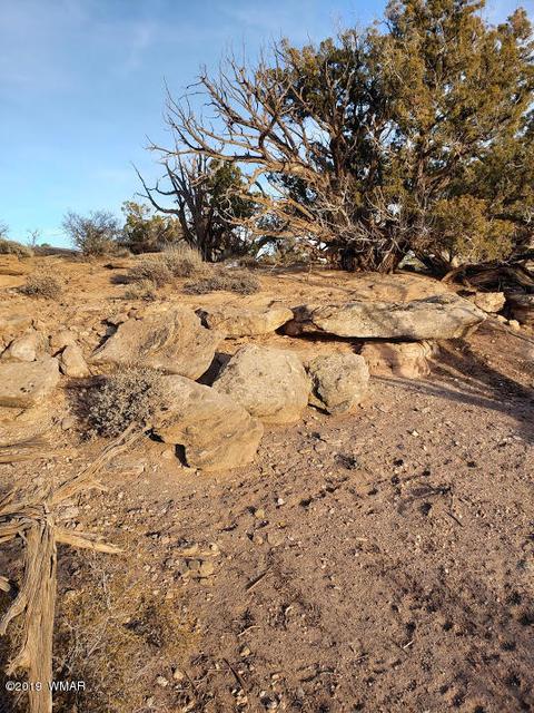 4423 Stirrup Rd, Snowflake, AZ 85937 photo 25