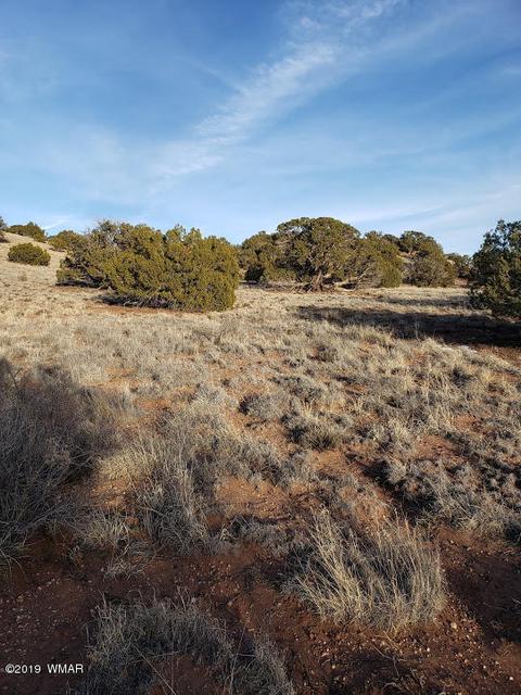 4423 Stirrup Rd, Snowflake, AZ 85937 photo 16