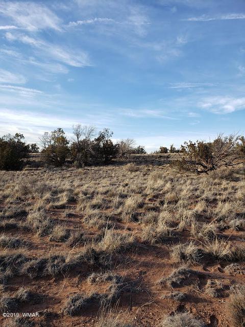 4423 Stirrup Rd, Snowflake, AZ 85937 photo 18