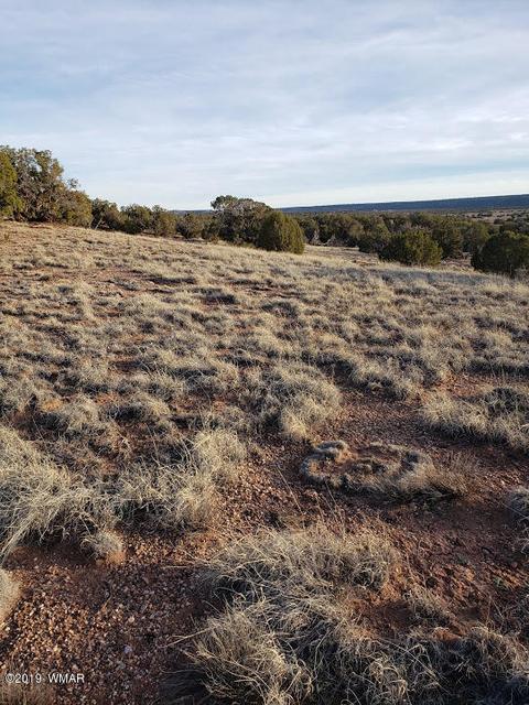 4423 Stirrup Rd, Snowflake, AZ 85937 photo 13