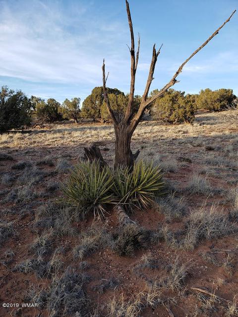 4423 Stirrup Rd, Snowflake, AZ 85937 photo 32