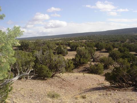4423 Stirrup Rd, Snowflake, AZ 85937 photo 36