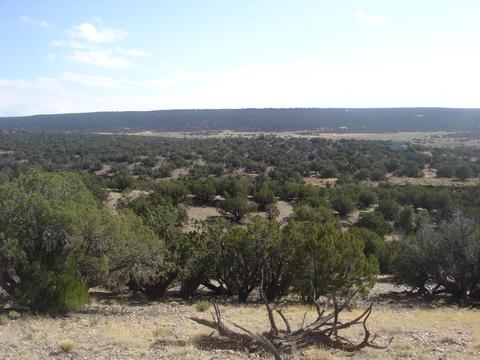 4423 Stirrup Rd, Snowflake, AZ 85937 photo 35