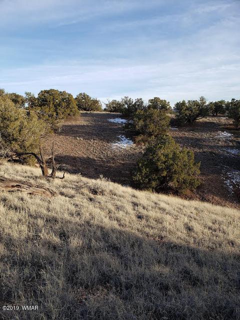 4423 Stirrup Rd, Snowflake, AZ 85937 photo 7