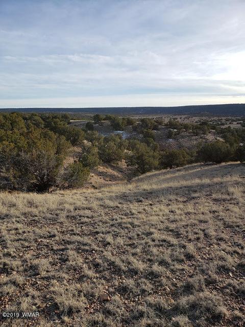 4423 Stirrup Rd, Snowflake, AZ 85937 photo 2