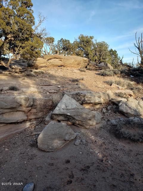 4423 Stirrup Rd, Snowflake, AZ 85937 photo 28