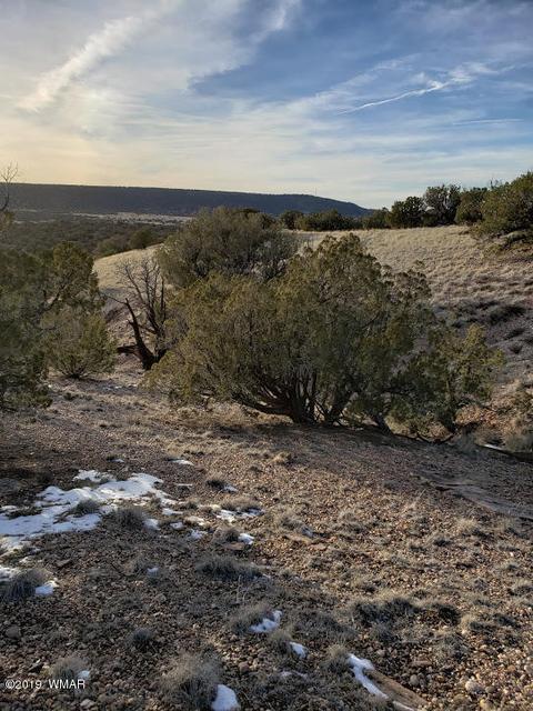 4423 Stirrup Rd, Snowflake, AZ 85937 photo 5
