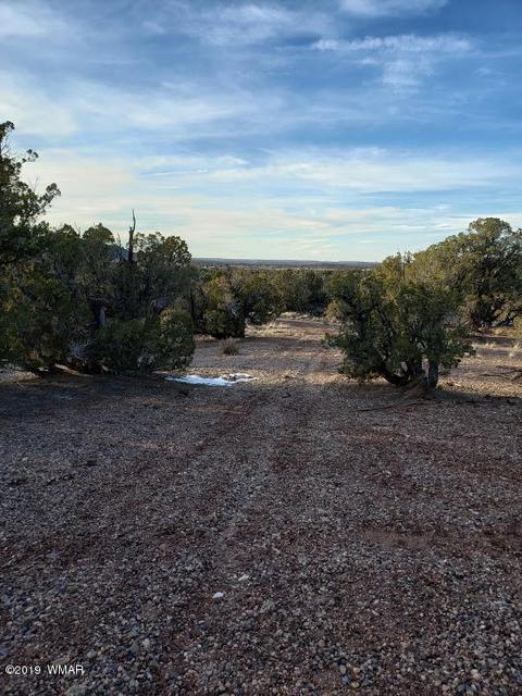 4423 Stirrup Rd, Snowflake, AZ 85937 photo 24
