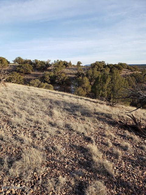 4423 Stirrup Rd, Snowflake, AZ 85937 photo 11